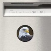 Amerikaanse Bald Eagle Magneet (Insitu (Vaatwasser))