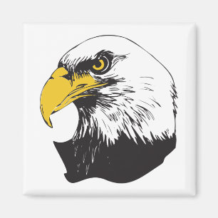 Amerikaanse Bald Eagle Magneet