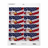 Amerikaanse Bald Eagle met label met vlag als acht (Full Sheet)
