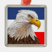 Amerikaanse Bald Eagle