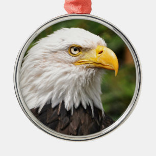 Amerikaanse Bald Eagle Metalen Ornament