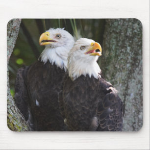 Amerikaanse Bald Eagle Mousepad Muismat
