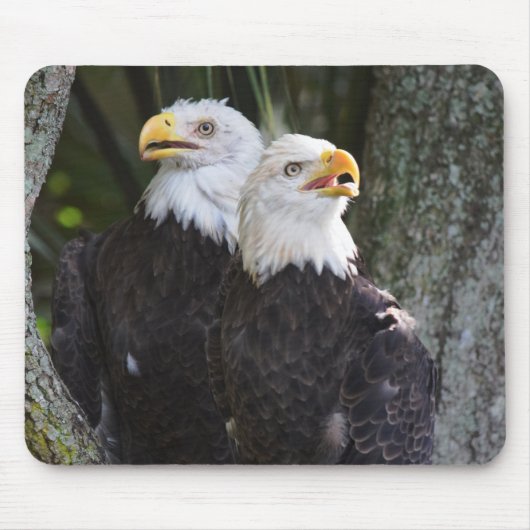 Amerikaanse Bald Eagle Mousepad Muismat (Voorkant)