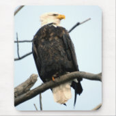 Amerikaanse Bald Eagle Mousepad Muismat (Voorkant)