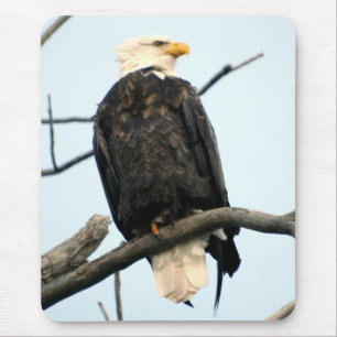 Amerikaanse Bald Eagle Mousepad Muismat