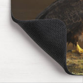 AMERIKAANSE BALD EAGLE Mousepad serie Muismat (Hoek)