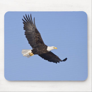 Amerikaanse Bald Eagle Muismat