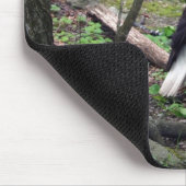 Amerikaanse Bald Eagle Muismat (Hoek)