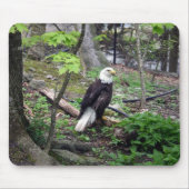 Amerikaanse Bald Eagle Muismat (Voorkant)