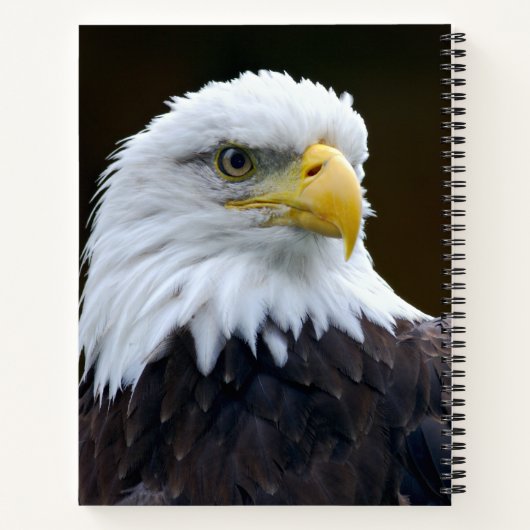 Amerikaanse Bald Eagle Notitieboek (Achterkant)