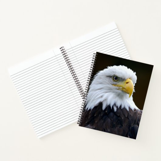 Amerikaanse Bald Eagle Notitieboek (Binnen)