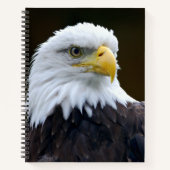 Amerikaanse Bald Eagle Notitieboek (Voorkant)