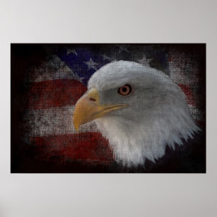 Amerikaanse Bald Eagle over vlag Poster