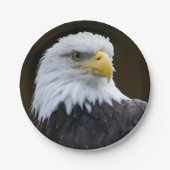 Amerikaanse Bald Eagle Papieren Bordje (Voorkant)