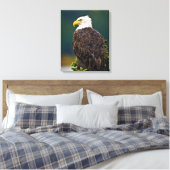 Amerikaanse Bald Eagle Perched Canvas Afdruk (Insitu (Slaapkamer))