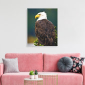 Amerikaanse Bald Eagle Perched Canvas Afdruk (Insitu (Woonkamer))