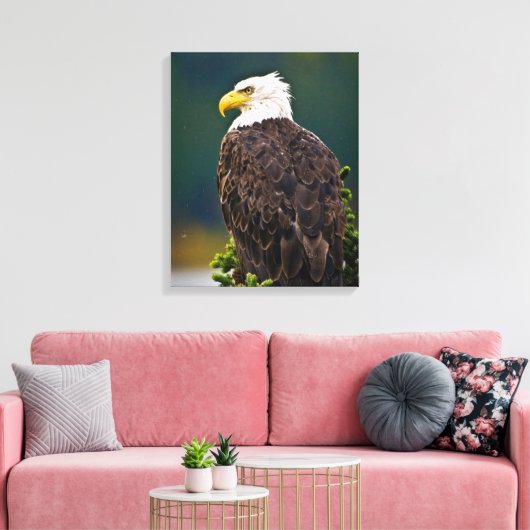 Amerikaanse Bald Eagle Perched Canvas Afdruk (Insitu (Woonkamer))