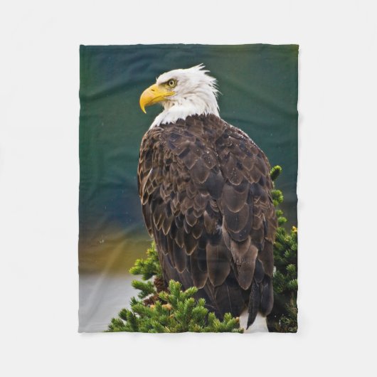 Amerikaanse Bald Eagle Perched Fleece Deken (Voorkant)