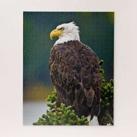 Amerikaanse Bald Eagle Perched Legpuzzel (Verticaal)