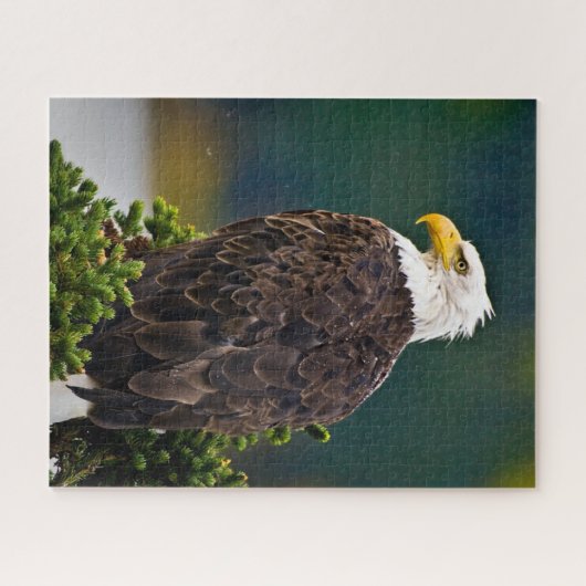 Amerikaanse Bald Eagle Perched Legpuzzel (Horizontaal)
