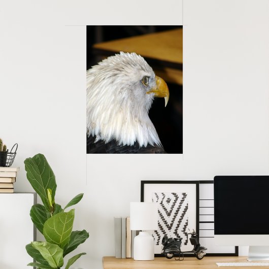 Amerikaanse Bald Eagle Poster (Thuiskantoor)