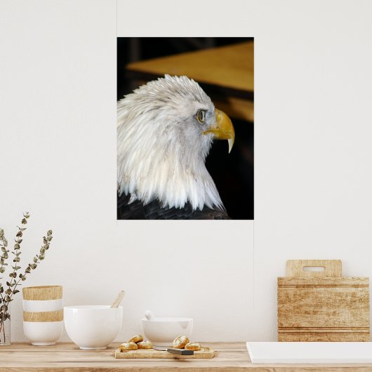 Amerikaanse Bald Eagle Poster (Keuken)