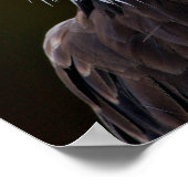 Amerikaanse Bald Eagle Poster (Hoek)