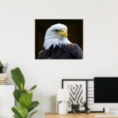 Amerikaanse Bald Eagle Poster (Thuiskantoor)