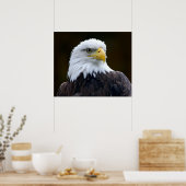 Amerikaanse Bald Eagle Poster (Keuken)