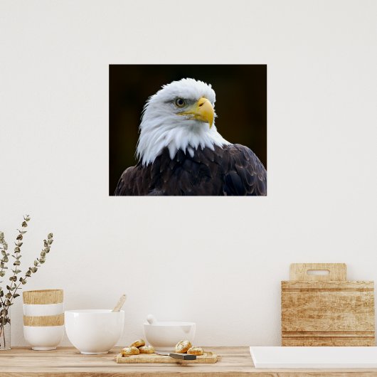 Amerikaanse Bald Eagle Poster (Keuken)
