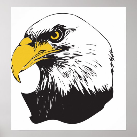 Amerikaanse Bald Eagle Poster (Voorkant)
