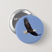 Amerikaanse Bald Eagle Ronde Button 5,7 Cm (Voorkant /achterkant)
