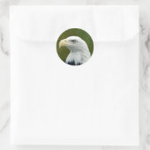 Amerikaanse Bald Eagle Ronde Sticker (Tas)