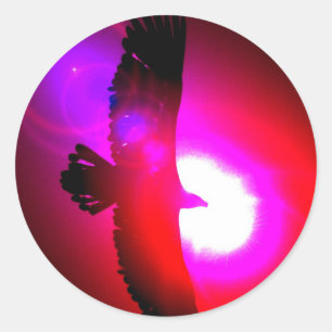 Amerikaanse Bald Eagle Ronde Sticker