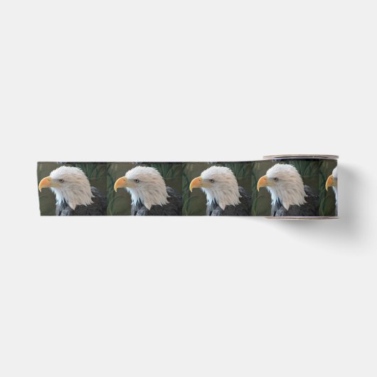 Amerikaanse Bald Eagle Satijnen Lint (Voorkant)