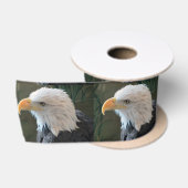 Amerikaanse Bald Eagle Satijnen Lint (Spoel)