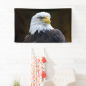 Amerikaanse Bald Eagle Spandoek (Insitu)