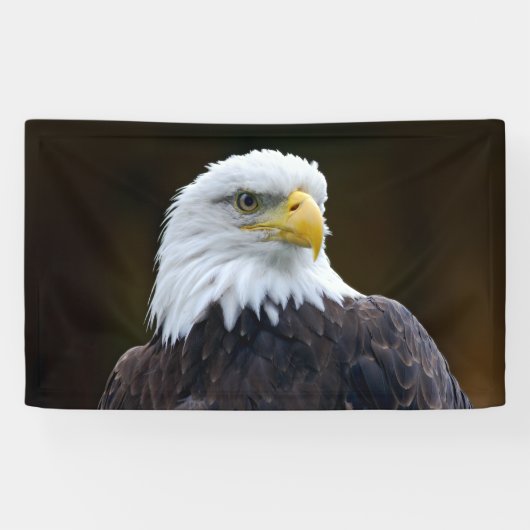 Amerikaanse Bald Eagle Spandoek (Horizontaal)