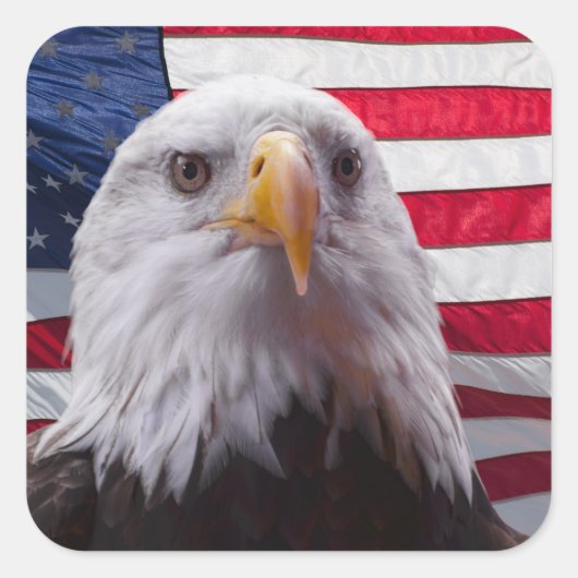 Amerikaanse Bald Eagle Vierkante Sticker (Voorkant)