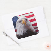 Amerikaanse Bald Eagle Vierkante Sticker (Envelop)