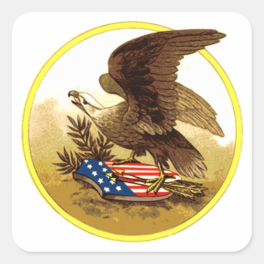 -Amerikaanse Bald Eagle Vierkante Sticker (Voorkant)