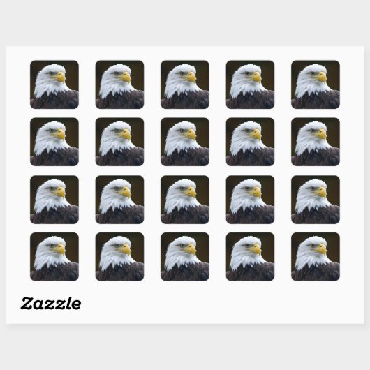 Amerikaanse Bald Eagle Vierkante Sticker (Vel)