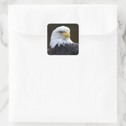 Amerikaanse Bald Eagle Vierkante Sticker (Tas)
