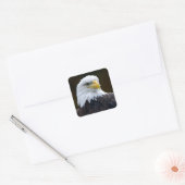 Amerikaanse Bald Eagle Vierkante Sticker (Envelop)