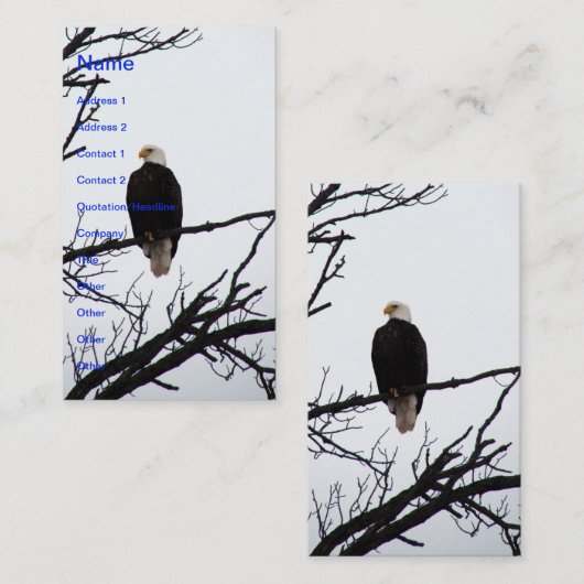 Amerikaanse Bald Eagle Visitekaartje (Voorkant / Achterkant)