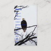 Amerikaanse Bald Eagle Visitekaartje (Voorkant)