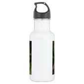 Amerikaanse Bald Eagle Waterfles (Achterkant)