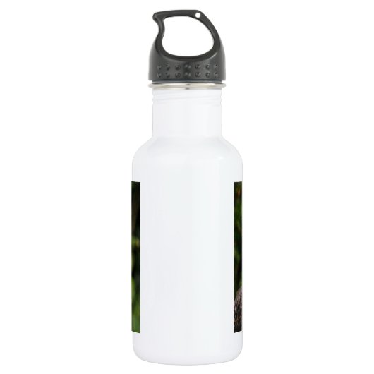 Amerikaanse Bald Eagle Waterfles (Achterkant)