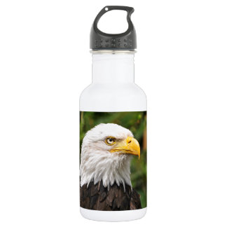 Amerikaanse Bald Eagle Waterfles