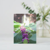 Amerikaanse Beautyberry # 3 Briefkaart (Staand voorkant)